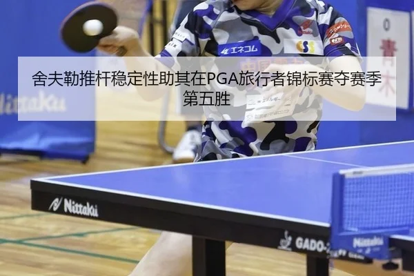 she-fu-lei-tui-gan-wen-ding-xing-zhu-qi-zai-lv-xing-zhe-jin-biao-sai-duo-sai-ji-di-wu-sheng-3-839.jpg