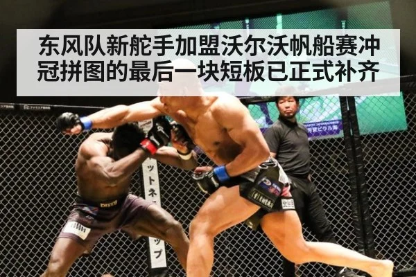 东风队新舵手加盟沃尔沃帆船赛冲冠拼图的最后一块短板已正式补齐