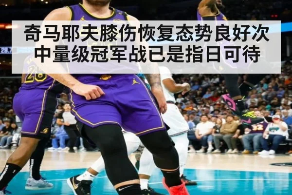 奇马耶夫膝伤恢复态势良好次中量级冠军战已是指日可待